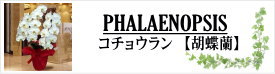 �R�`���E����