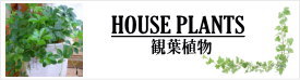 �Ԕ��E�ϗt��