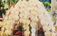 �R�`���E����