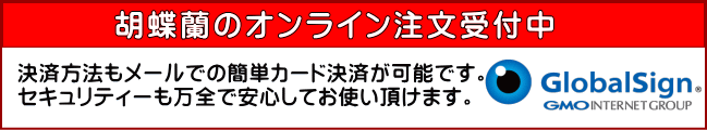 �Ӓ����I�����C������